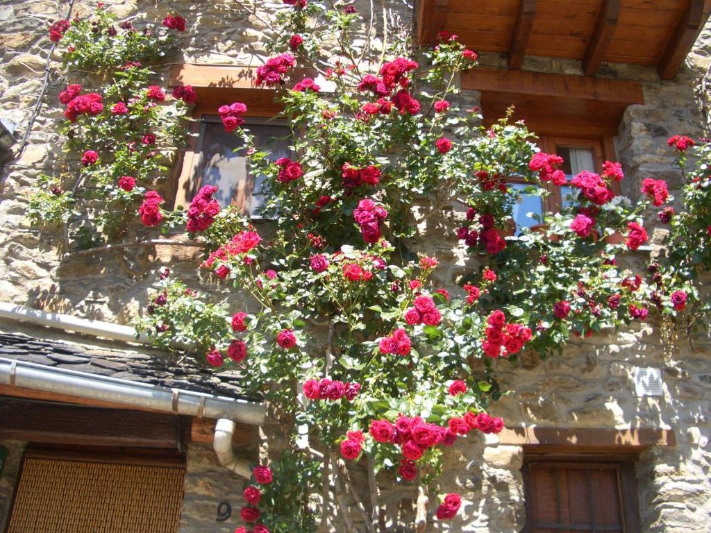 Ca De Garbot Guest House Durro Room photo